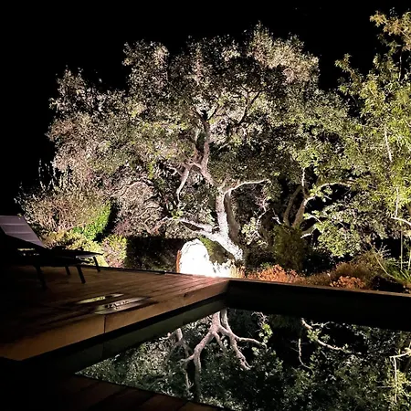 Terra Vecchia -12 Personnes, Piscine Chauffee, Vue Degagee Porto-Vecchio (Corsica)